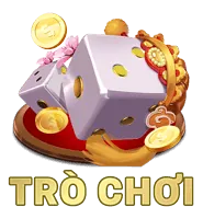 Bảo vệ quyền riêng tư đôla 789